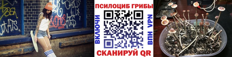 где найти   Завитинск  blacksprut tor  Галлюциногенные грибы GOLDEN TEACHER 
